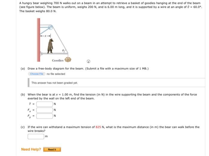 Solved A hungry bear weighing 700 N walks out on a beam in | Chegg.com