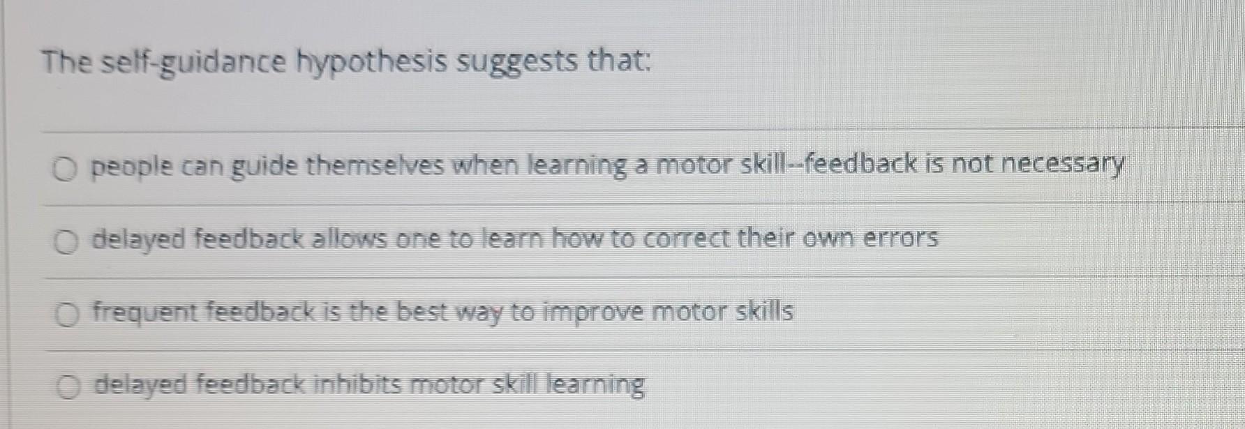 guidance hypothesis learning