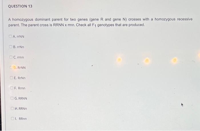 Solved A homozygous dominant parent 1 for gene G crosses | Chegg.com