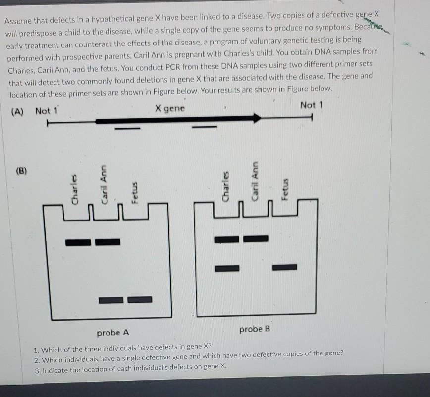 Solved Assume that defects in a hypothetical gene X have | Chegg.com