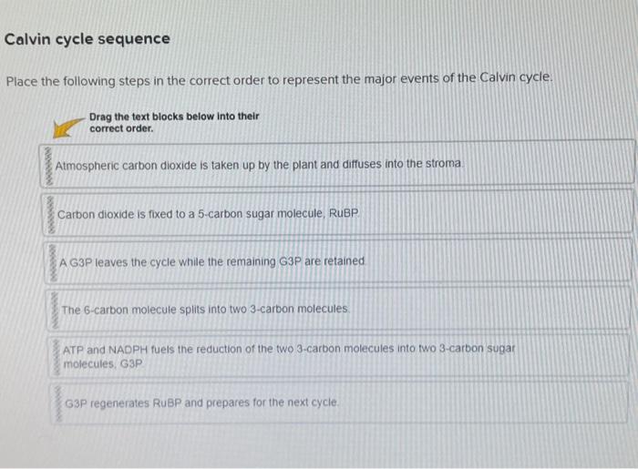 Solved Pace the following steps in the correct order to | Chegg.com