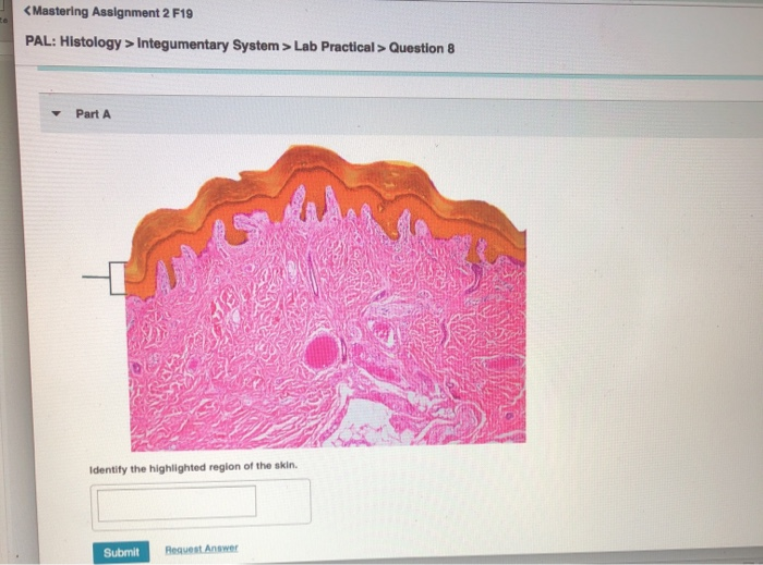 Anatomy And Physiology Archive | September 09, 2019 | Chegg.com