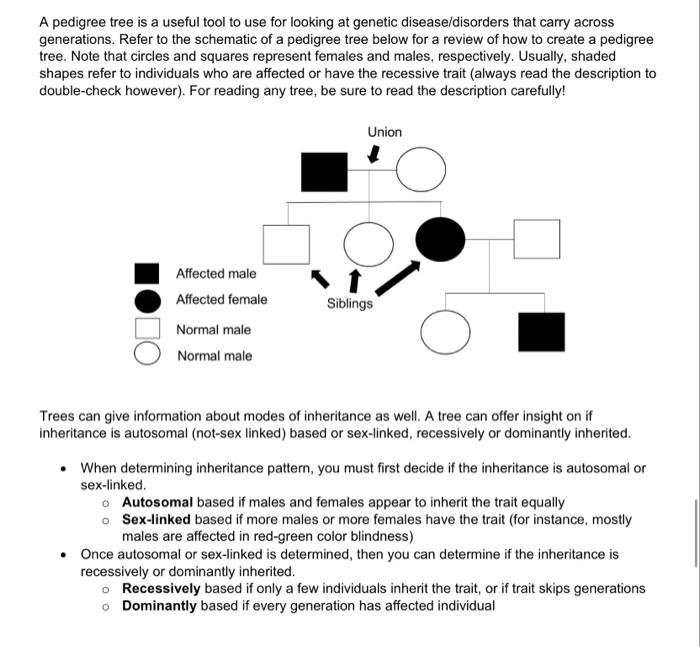 A pedigree tree is a useful tool to use for looking | Chegg.com