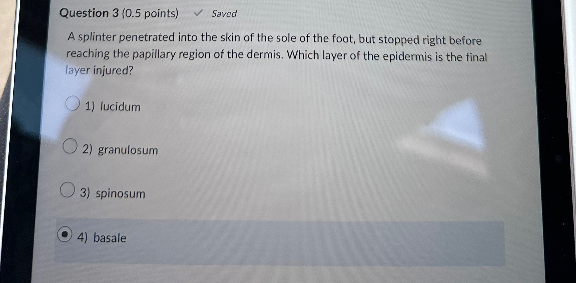 Solved Question 3 ( 0.5 ﻿points) ﻿SavedA splinter | Chegg.com