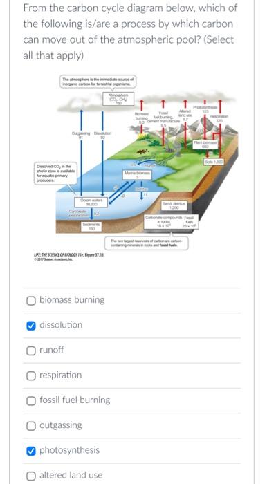 Solved From the carbon cycle diagram below, which of the | Chegg.com