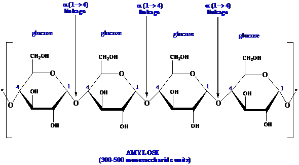 1 Chemical structure of starch with amylose and amylopectin units.