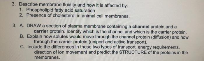 Solved 3. Describe membrane fluidity and how it is affected | Chegg.com