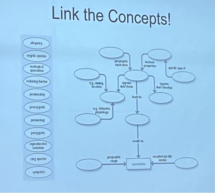Link the Concentsl Link the Concepts! | Chegg.com