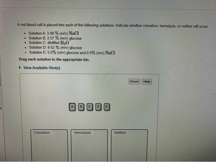 Solved A red blood cell is placed into each of the following | Chegg.com