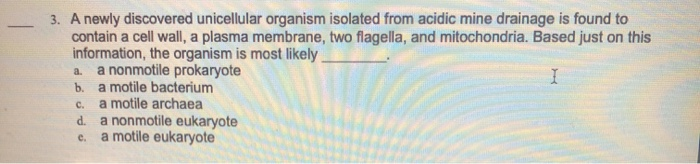 Can unicellular organisms live on their own image