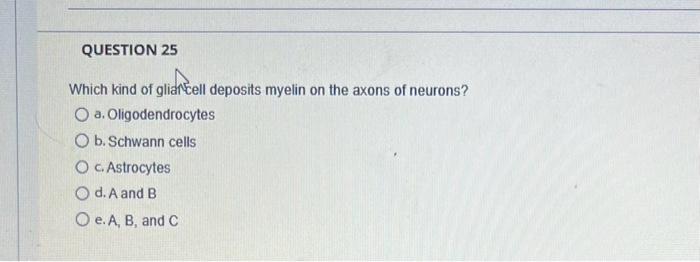 Solved Which kind of gliancell deposits myelin on the axons | Chegg.com