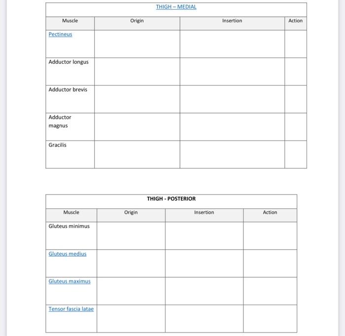 Solved THIGHMEDIAL Muscle Origin Insertion Action Pectineus