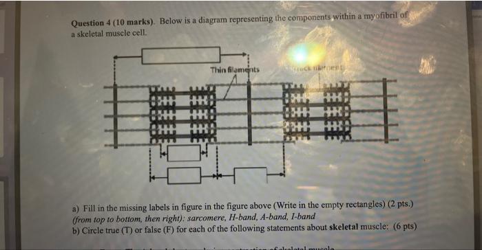 Solved Question 4 (10 marks). Below is a diagram | Chegg.com