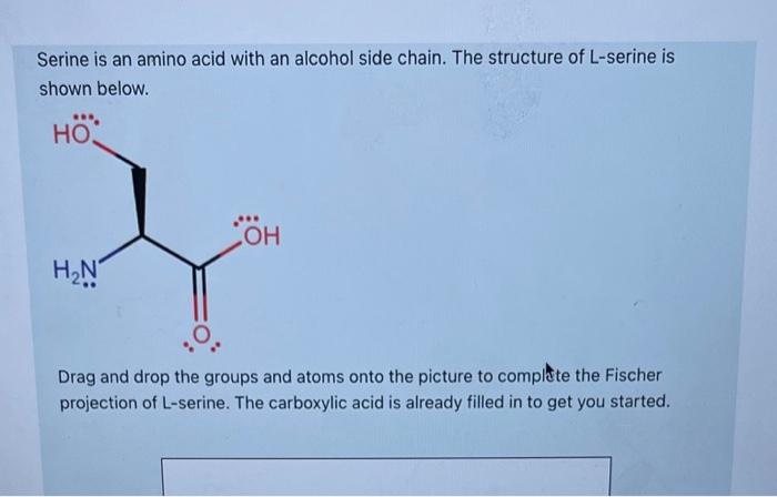 Solved Serine is an amino acid with an alcohol side chain. | Chegg.com