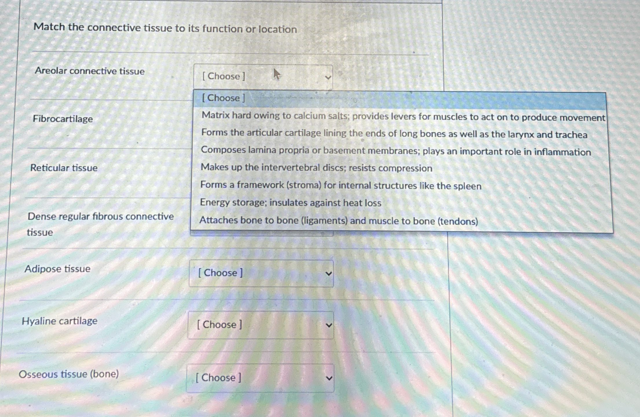 Solved Match the connective tissue to its function or