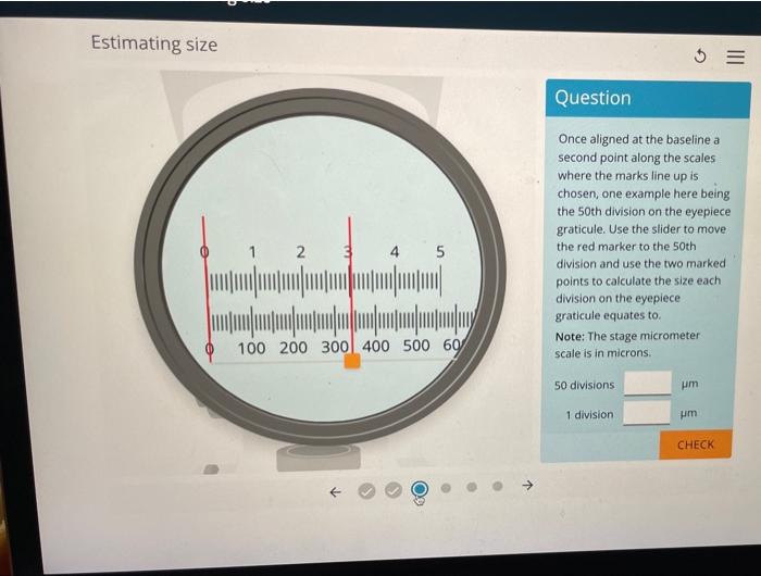 Baseline Scales