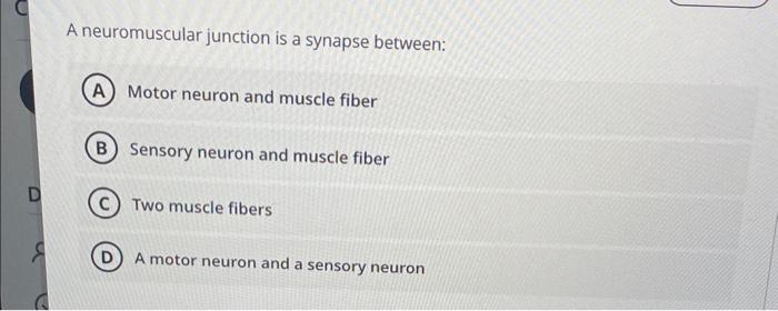 Solved Question 5 A neuromuscular junction is a synapse | Chegg.com