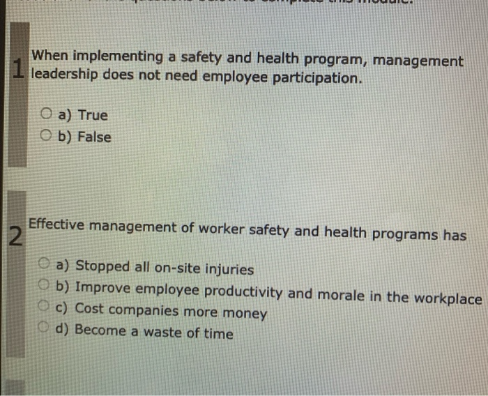 Solved LUUUUUI When implementing a safety and health | Chegg.com