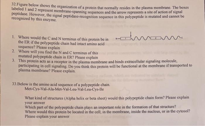 Solved 32. Figure below shows the organization of a protein | Chegg.com