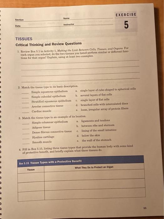 Solved EXERCISE Name Section Instructor 5 Dato TISSUES | Chegg.com