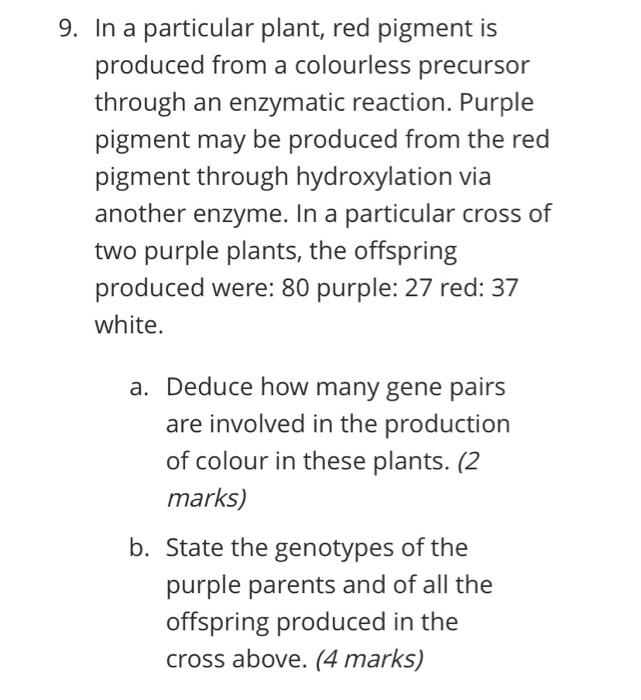 9. In a particular plant, red pigment is
produced from a colourless precursor
through an enzymatic reaction. Purple
pigment m