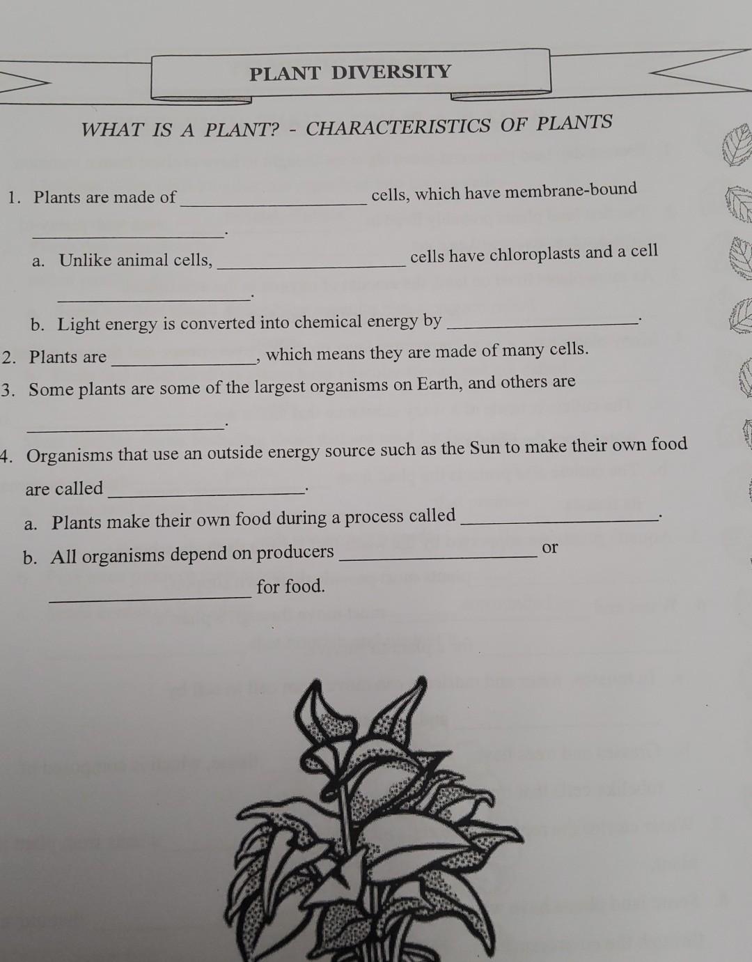 Solved PLANT DIVERSITY WHAT IS A PLANT? CHARACTERISTICS OF 