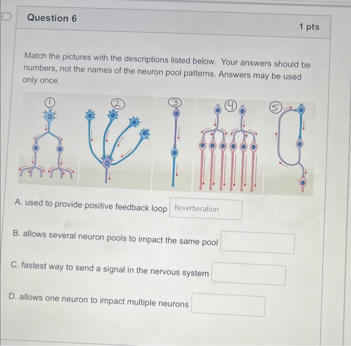 Solved Identify The Structures Indicated Below. Your Answers | Chegg.com