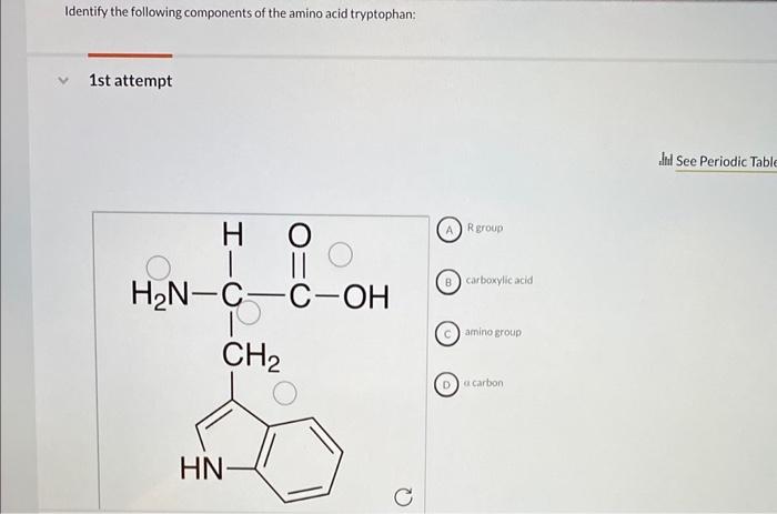 Solved Identify the following components of the amino acid | Chegg.com