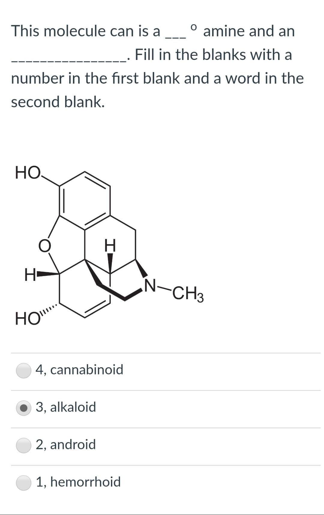 Initial H words Fill in the Blank