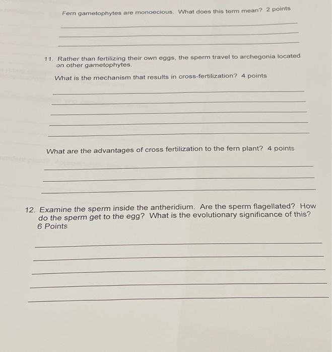 Solved Fern gametophytes are monoecious. What does this term