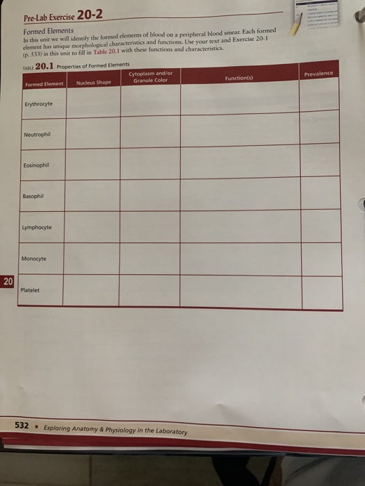 PreLab Exercise 202 Formed Elements In this unit we