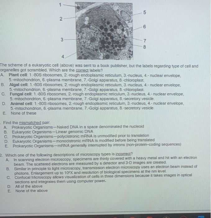 Solved 1 5 2. 6 3 7 8 The scheme of a eukaryotic cell | Chegg.com