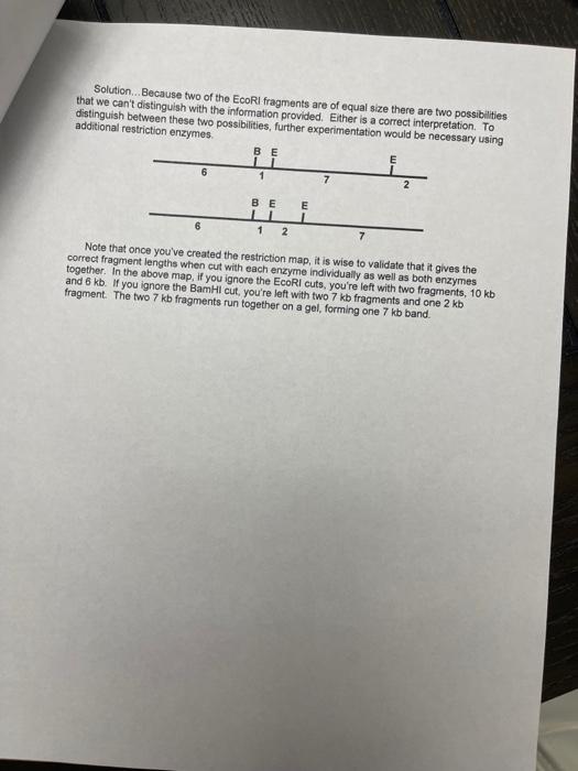Solved Restriction Mapping Biol 2240 A Restriction Map Is A Chegg Com   Image