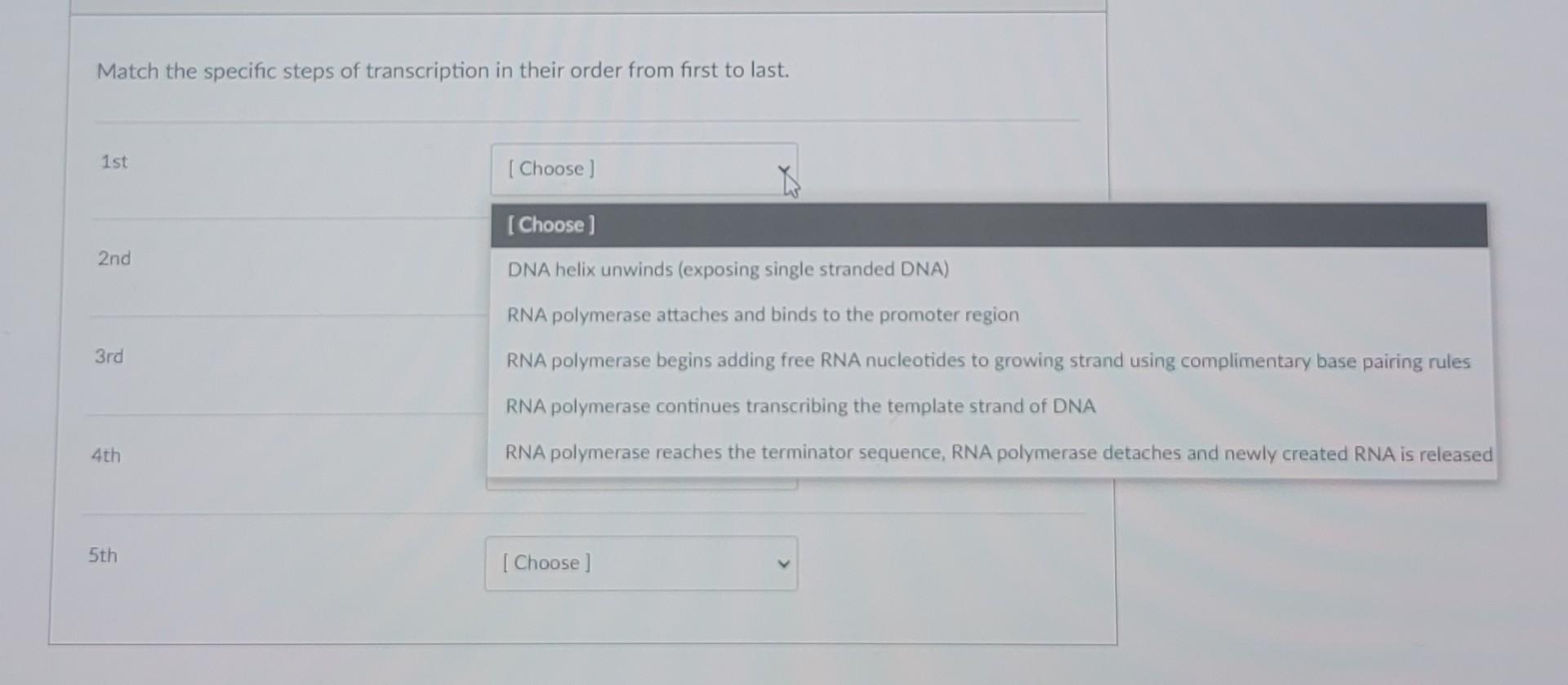 Solved Match the specific steps of transcription in their | Chegg.com