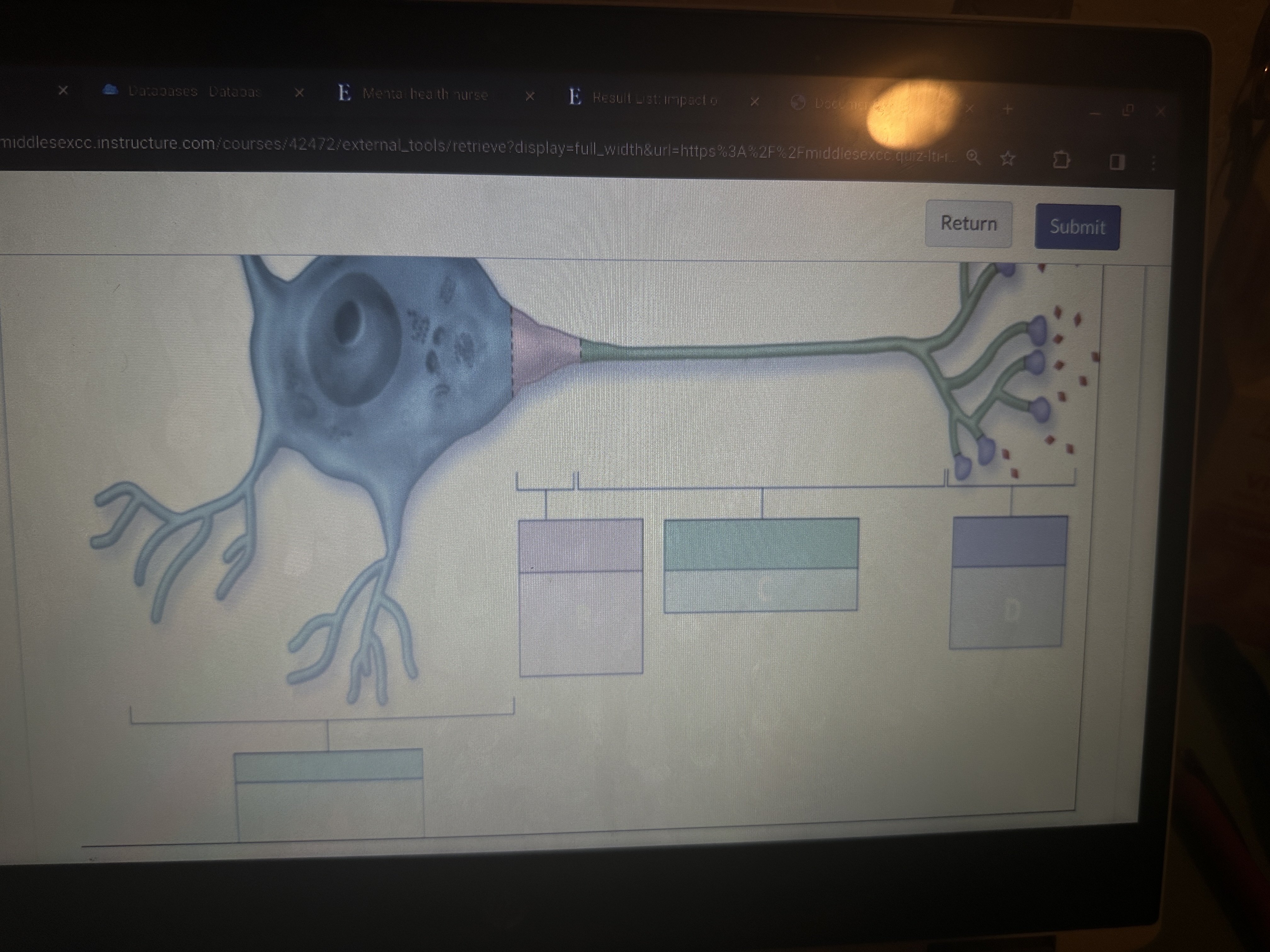 Neuron segment pumps and channels review Choose the | Chegg.com