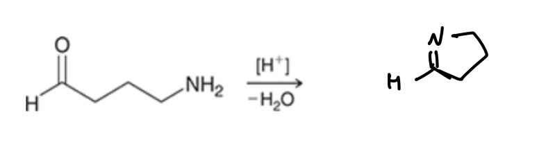 Solved What is the mechanism for this reaction? | Chegg.com