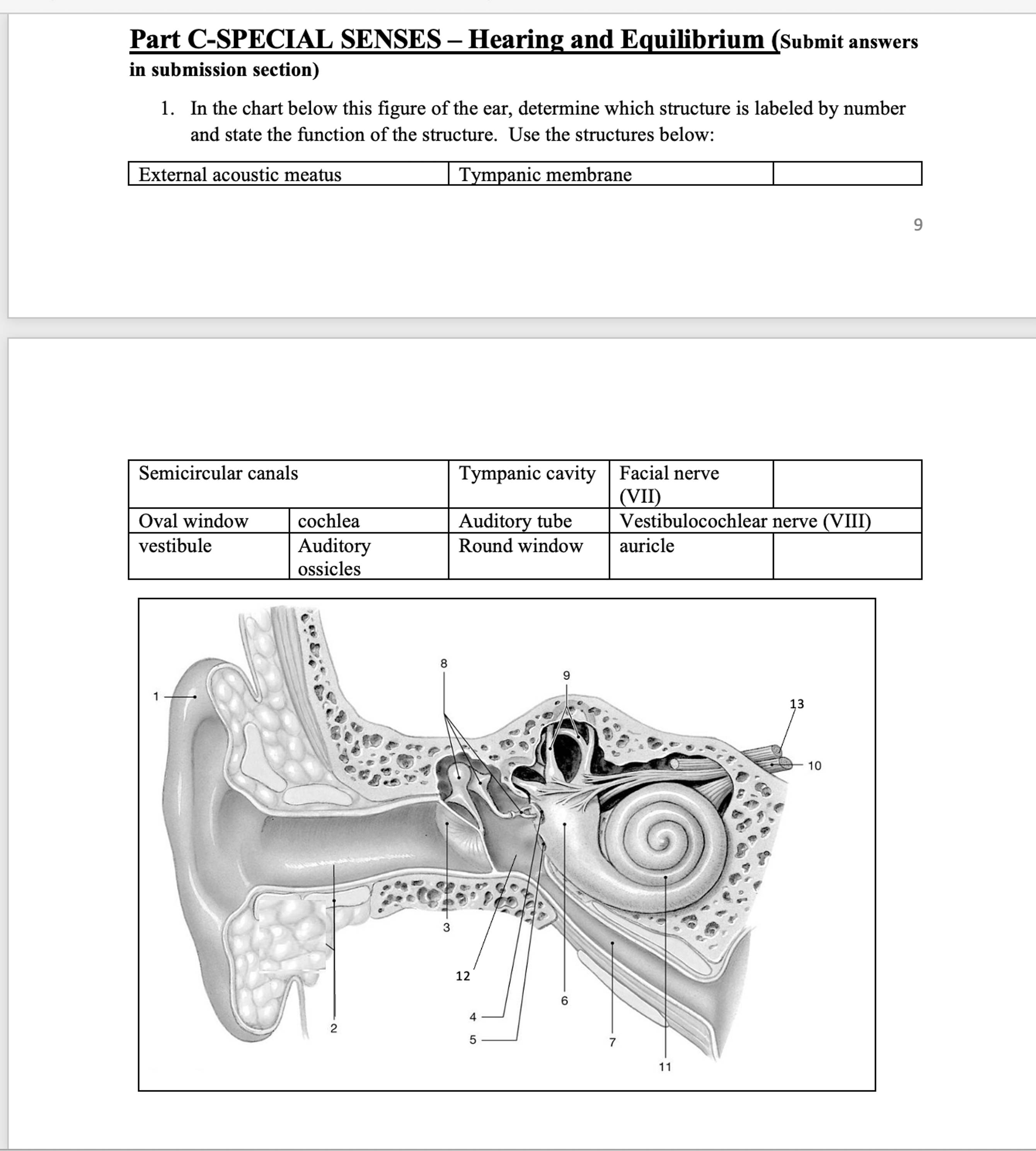Part C Evaluation Process