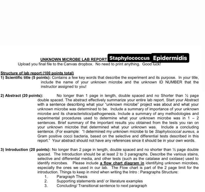 Solved UNKNOWN MICROBE LAB REPORT Staphylococcus Epidermidis | Chegg.com
