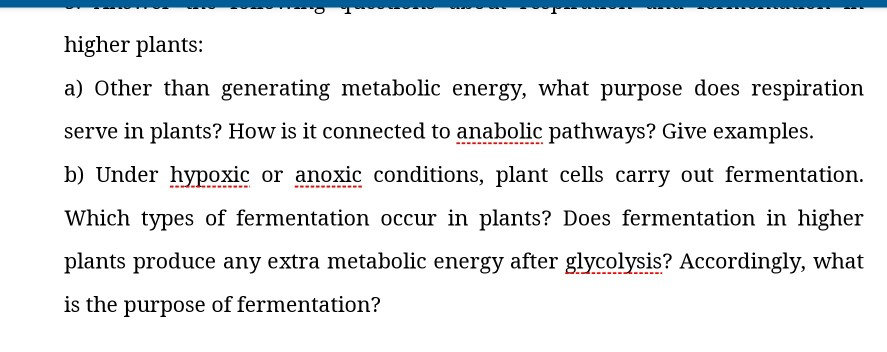 Solved Higher Plants A Other Than Generating Metabolic Chegg Com