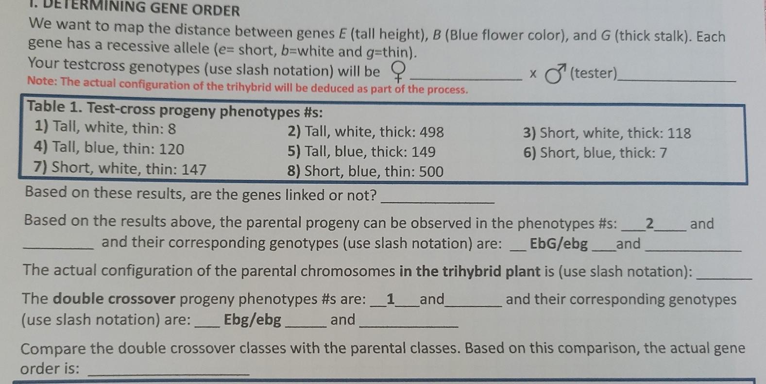 Smogon University on X: And the votes from the National Dex Genesect  suspect test have been tallied and they reached the majority needed, making  Genesect no longer usable in the tier. You