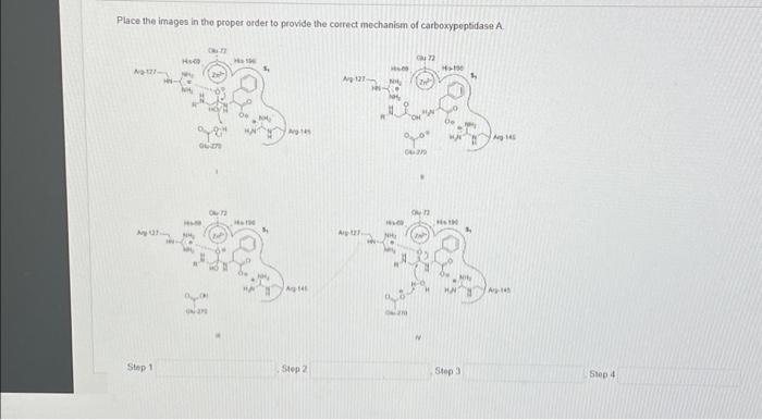 Solved Place the images in the proper order to provide the | Chegg.com