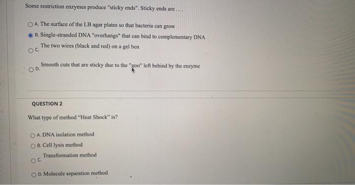 Solved Some Restriction Enzymes Produce Sticky Ends