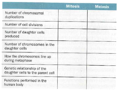 Mitosis And Meiosis Comparison Chart