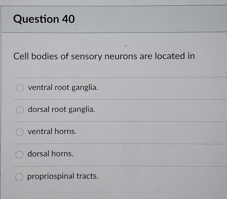 Solved Question 40 Cell bodies of sensory neurons are | Chegg.com
