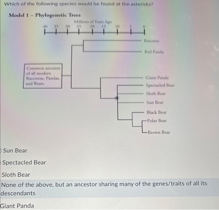 Solved Which Of The Following Species Would Be Found At The | Chegg.com