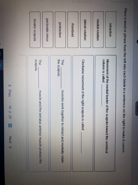 Solved Place a word or phrase from the left into each blank