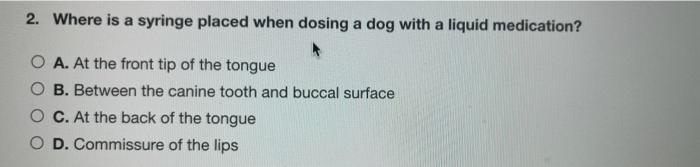 2. Where is a syringe placed when dosing a dog with a liquid medication? O A. At the front tip of the tongue B. Between the c