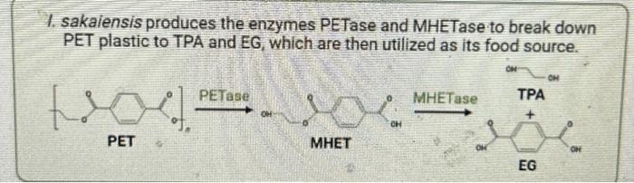 Solved please propose the catalytic mechanisms for both | Chegg.com