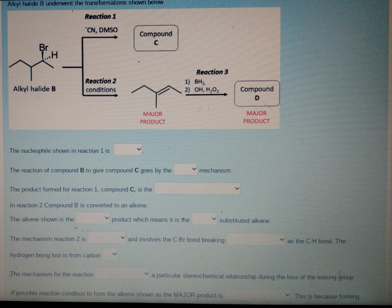 Solved Alkyl Halide B Underwent The Transformations Shown | Chegg.com