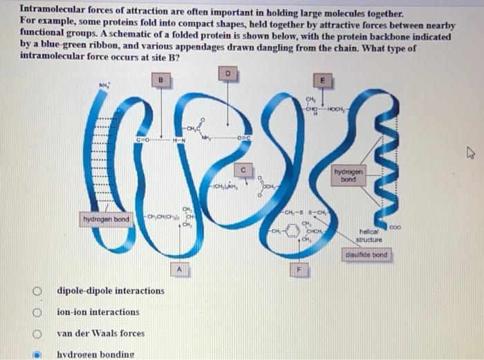 Solved Intramolecular forces of attraction are often